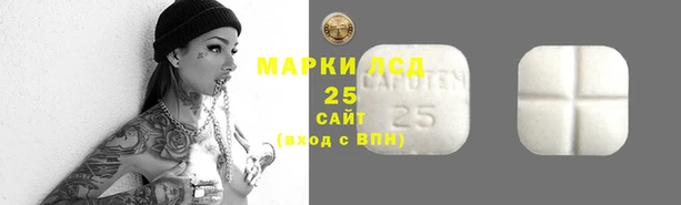 ПСИЛОЦИБИНОВЫЕ ГРИБЫ Алексин