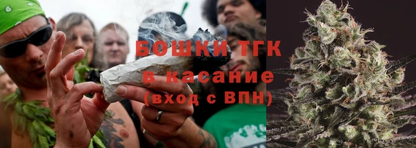 ПСИЛОЦИБИНОВЫЕ ГРИБЫ Алексин