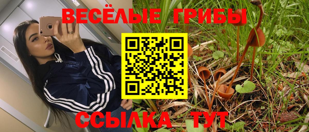 Галлюциногенные грибы MAGIC MUSHROOMS Дивногорск